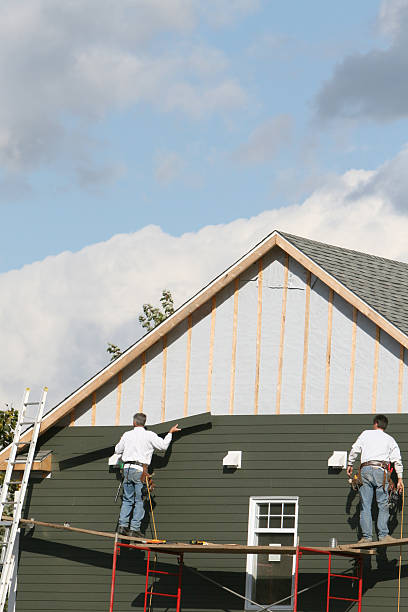 Best Siding Maintenance  in Louisville, MS